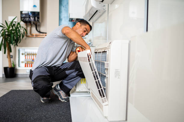 Best Air Vent Cleaning Services  in Beechwood, MI